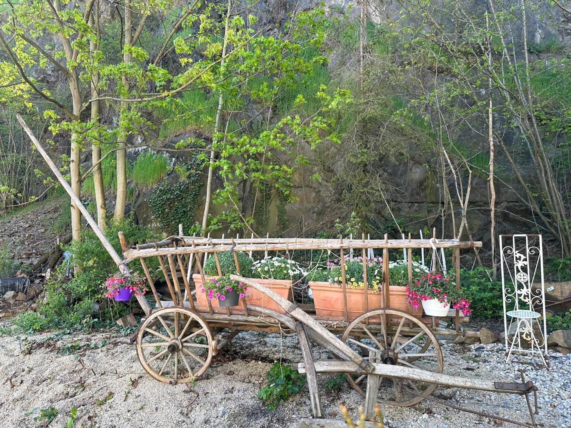 Ferienwohnungen Schweizerhaus Drezno Zewnętrze zdjęcie
